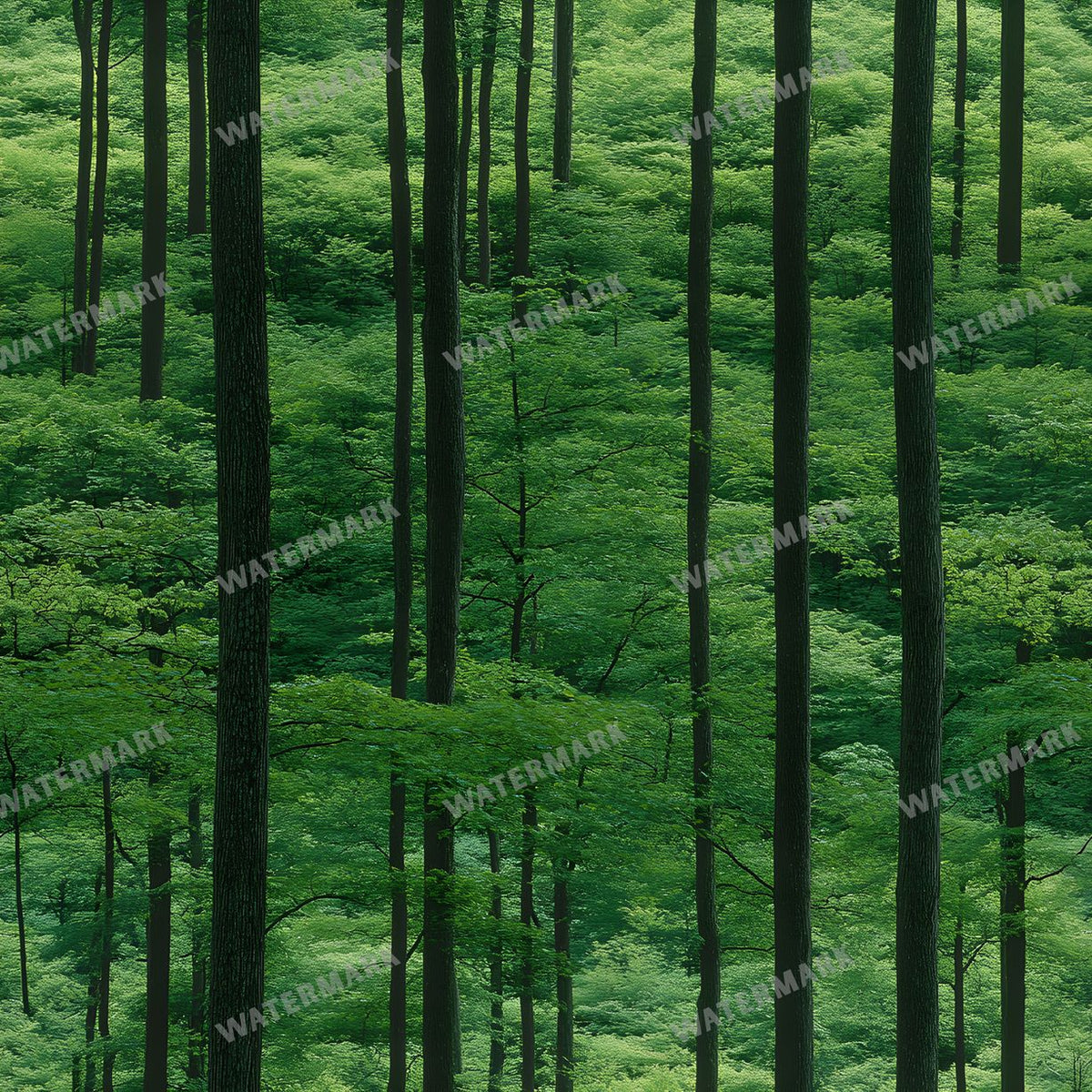 Forest Seamless Pattern