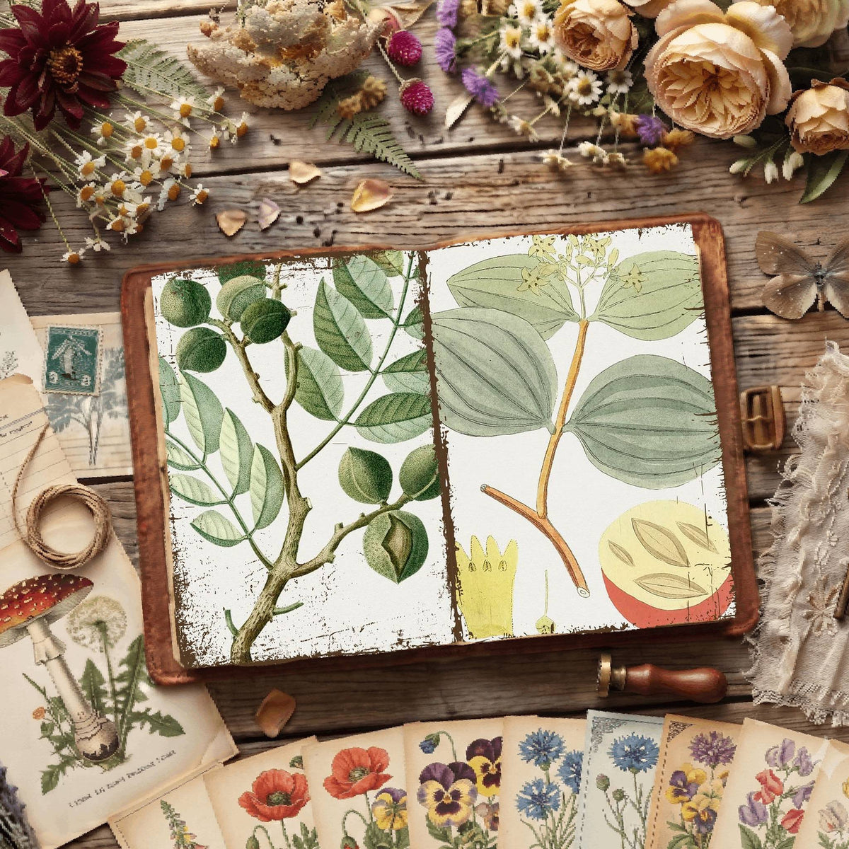 Botanical Illustrations Digital Papers