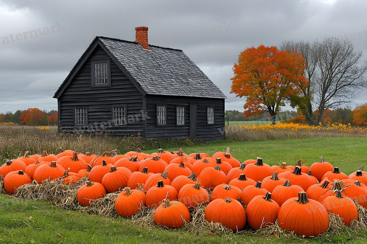 Witchs Hut Backdrop Images