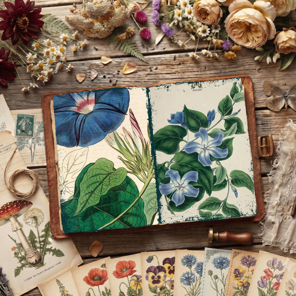 Botanical Illustrations Digital Papers