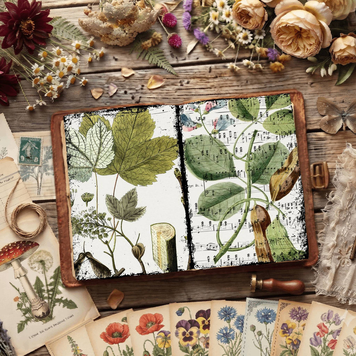 Botanical Illustrations Digital Papers