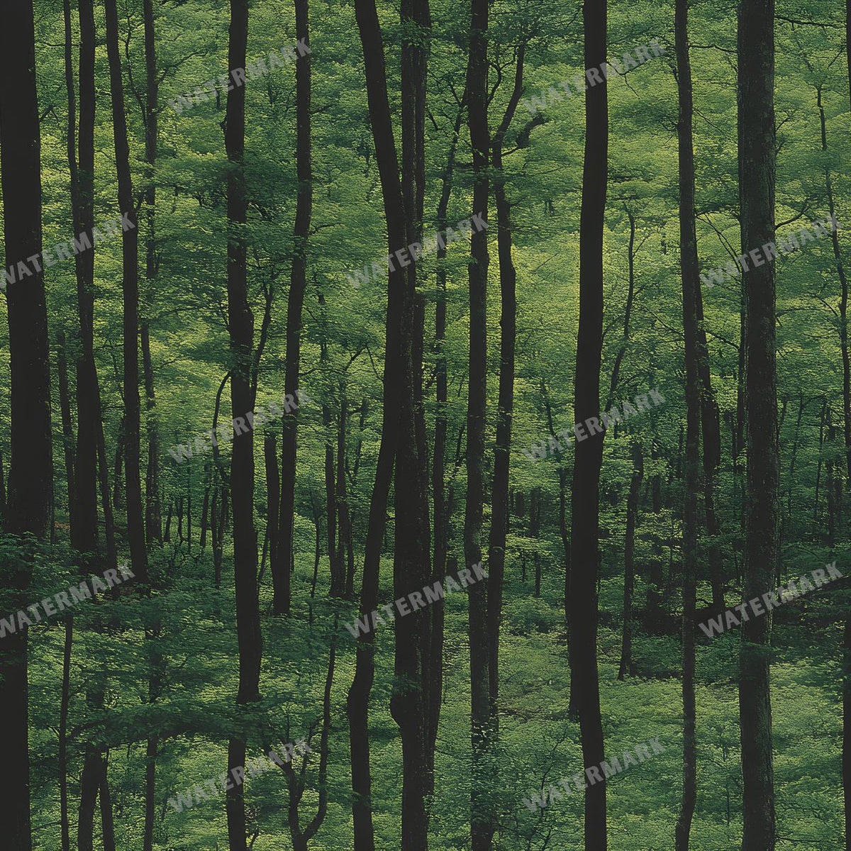 Forest Seamless Pattern