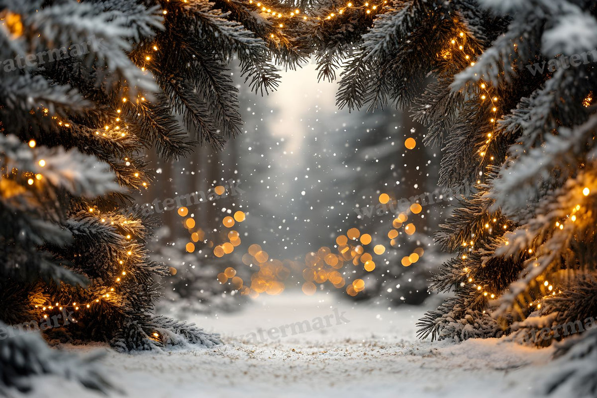 Snowy Forest Backdrop Images