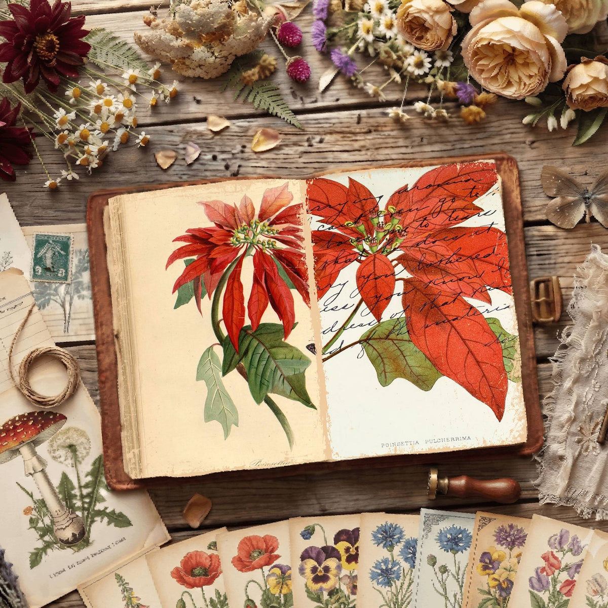 Botanical Illustrations Digital Papers