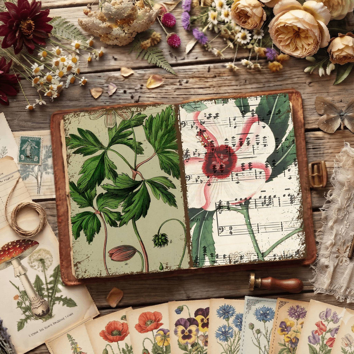 Botanical Illustrations Digital Papers