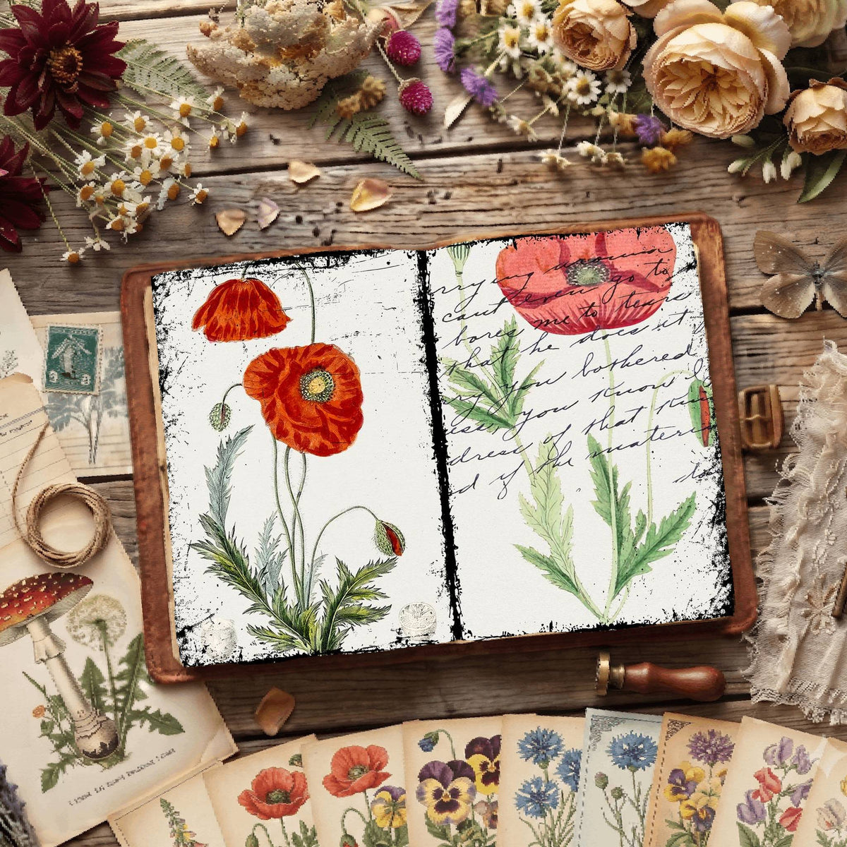 Botanical Illustrations Digital Papers