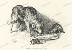 Fauna Vintage Prints