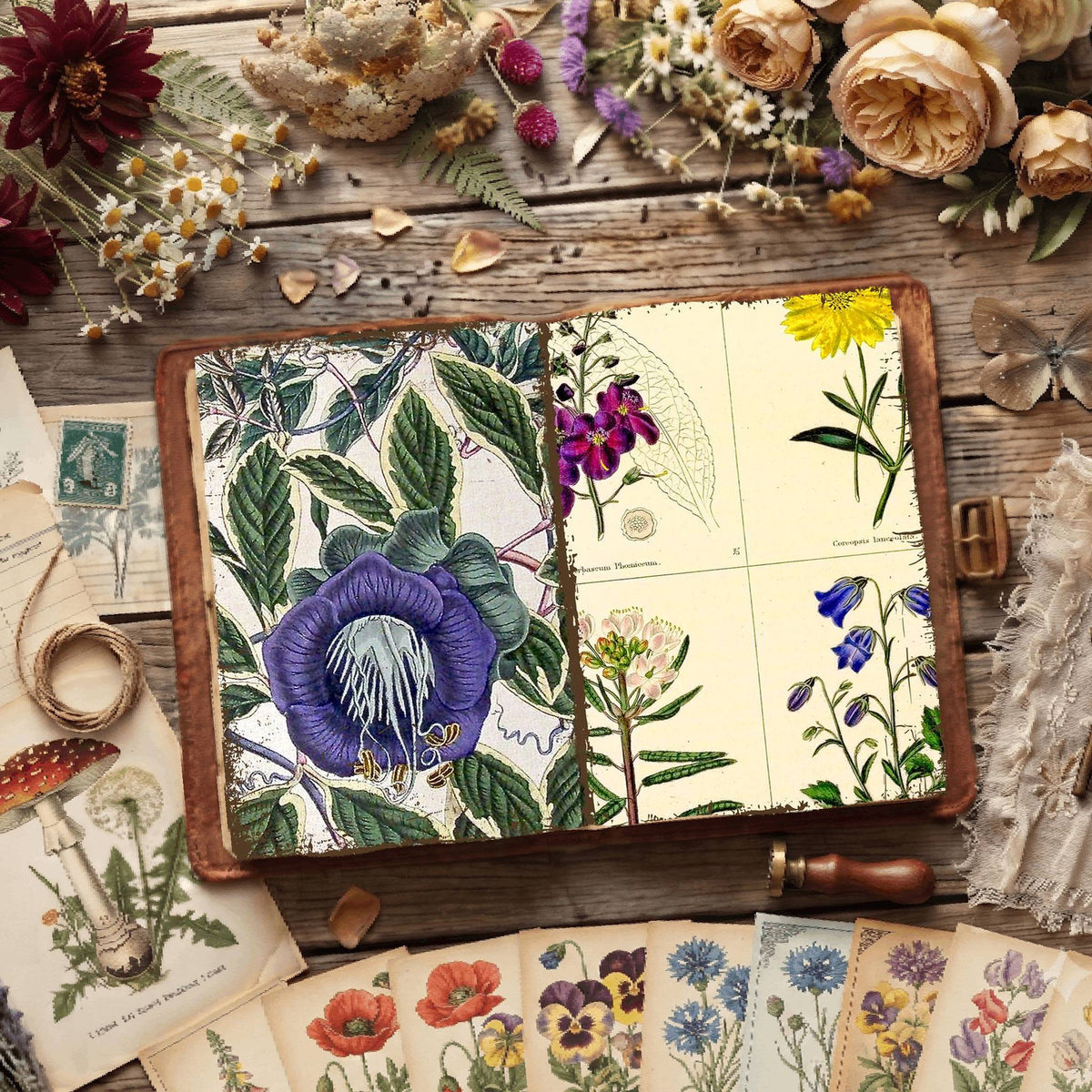 Botanical Illustrations Digital Papers