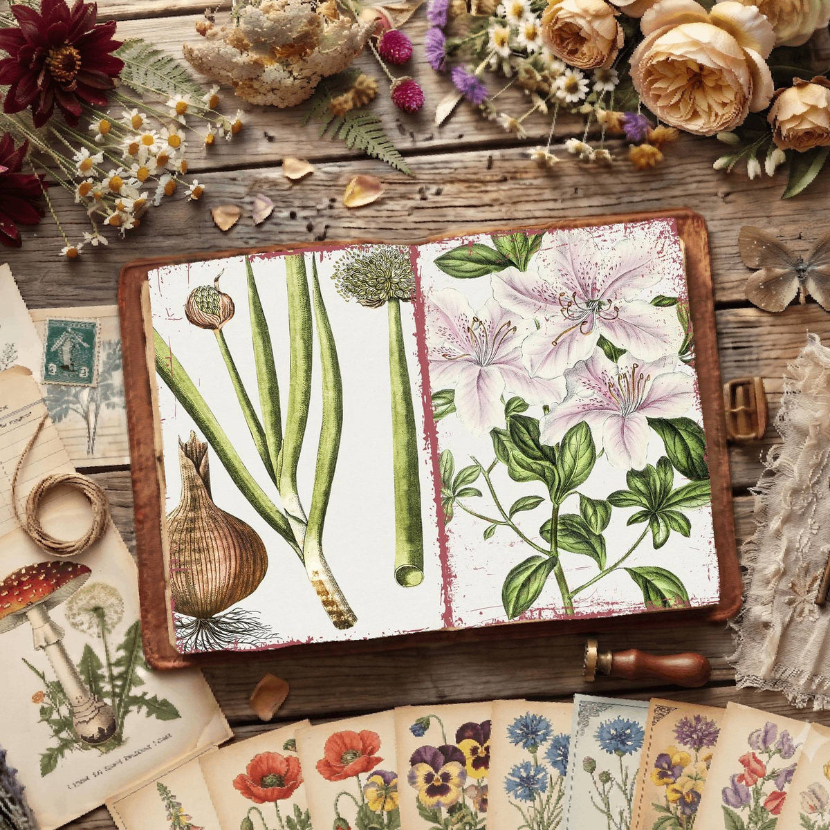 Botanical Illustrations Digital Papers