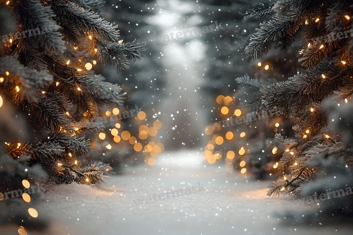 Snowy Forest Backdrop Images