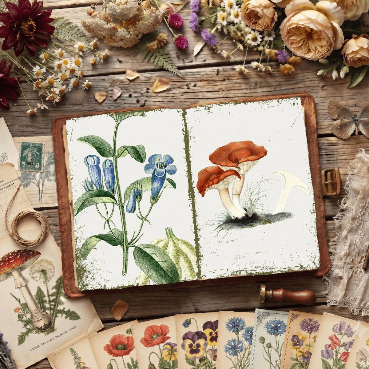 Botanical Illustrations Digital Papers