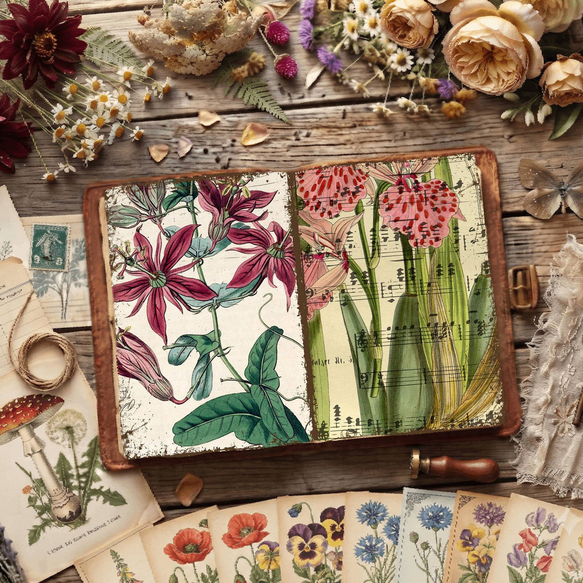 Botanical Illustrations Digital Papers