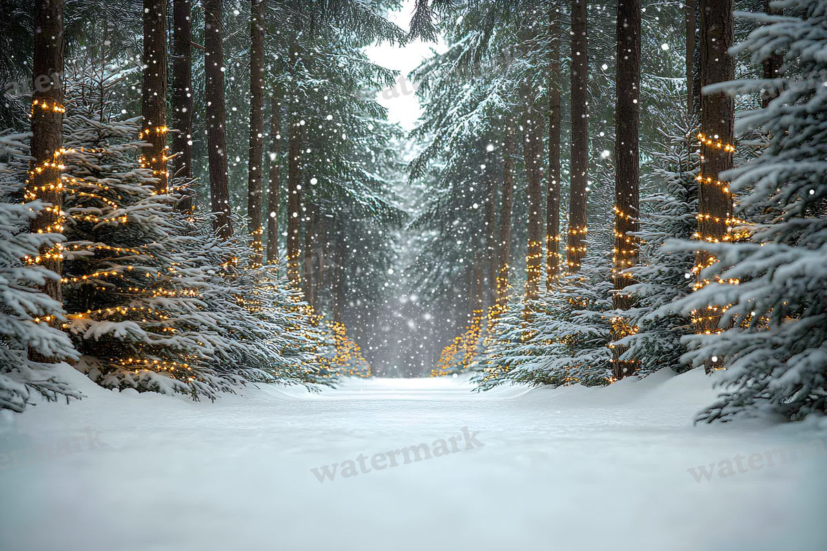 Snowy Forest Backdrop Images