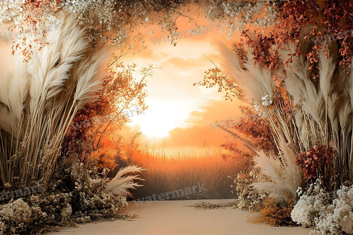 Boho Sunset Arch Backdrop Images