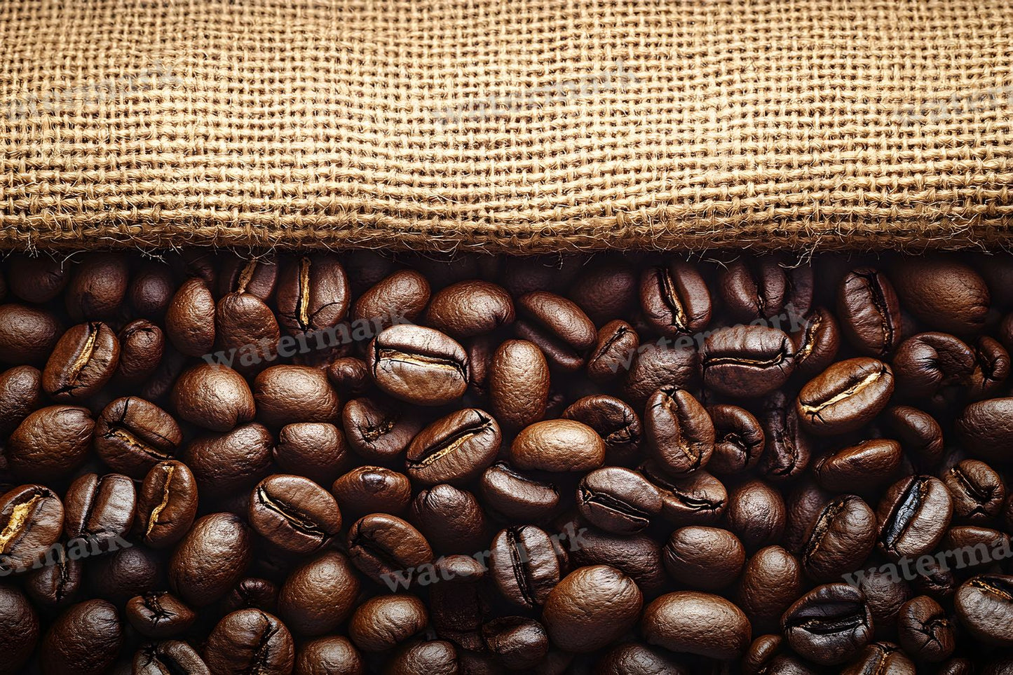 Coffee Shop Setting Backdrop Images