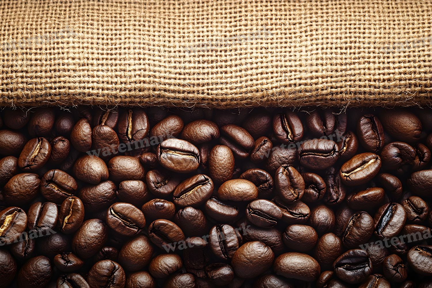 Coffee Shop Setting Backdrop Images