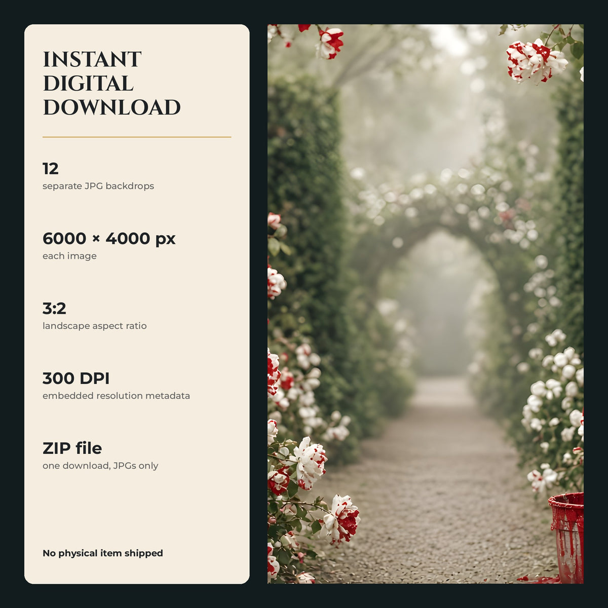 12 high resolution JPEG backdrops, 6000 × 4000 px, landscape 3:2