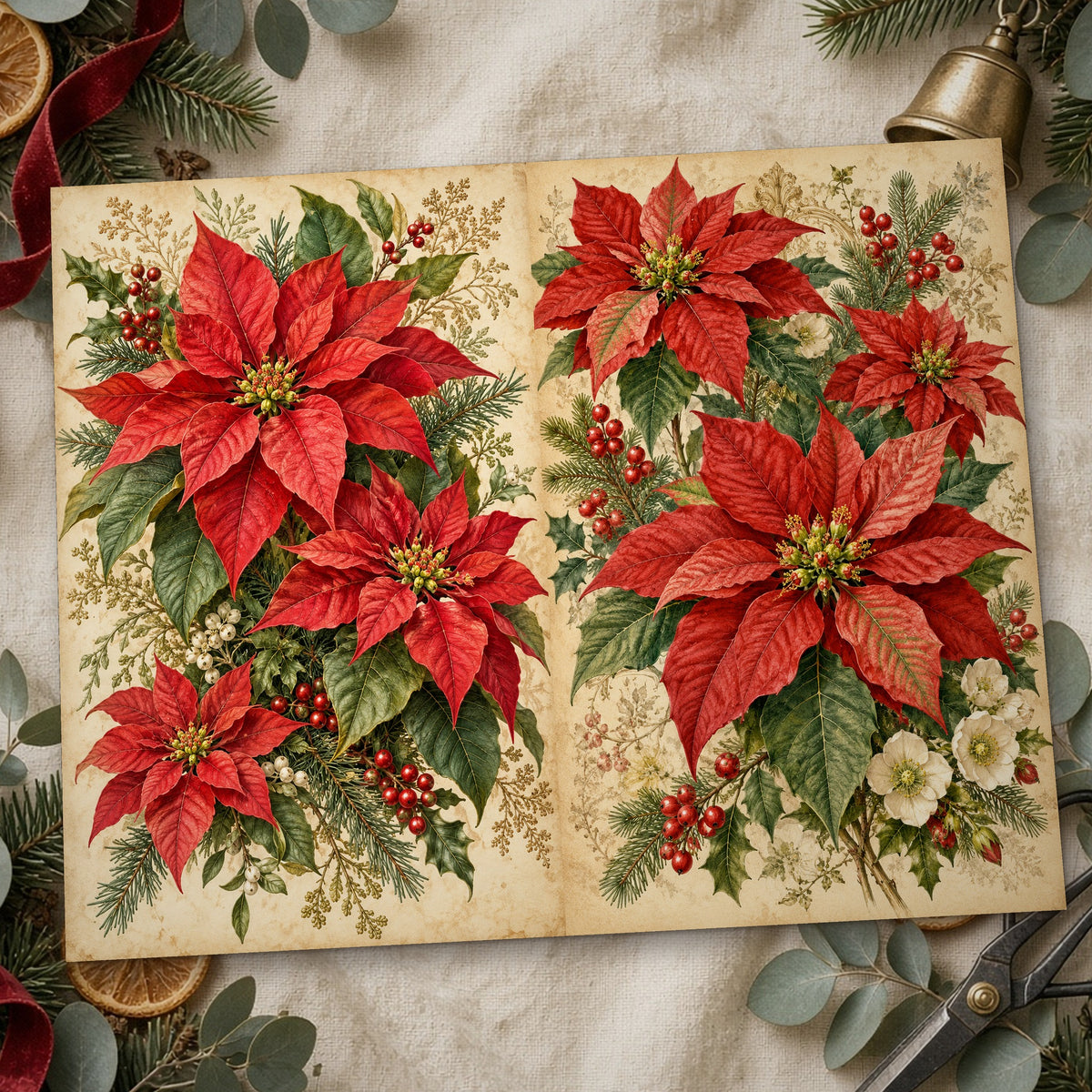 Close-up of the poinsettia plate Christmas botanical junk journal page
