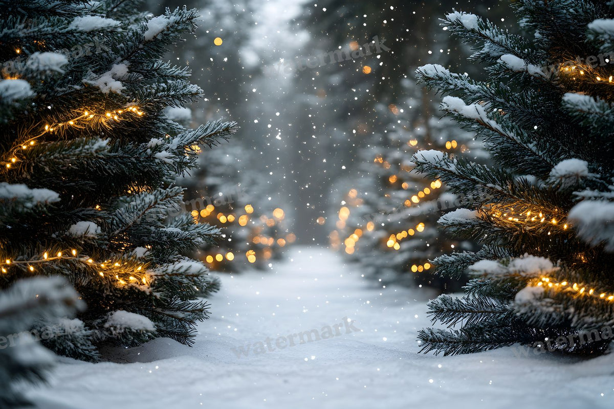 Snowy Forest Backdrop Images