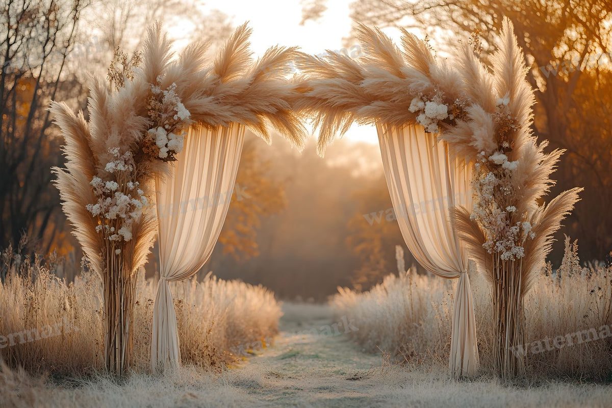 Boho Pampaarch Backdrop Images