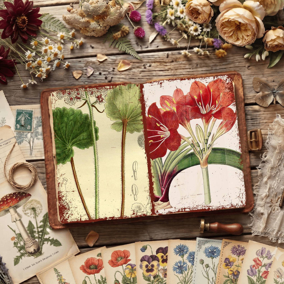 Botanical Illustrations Digital Papers
