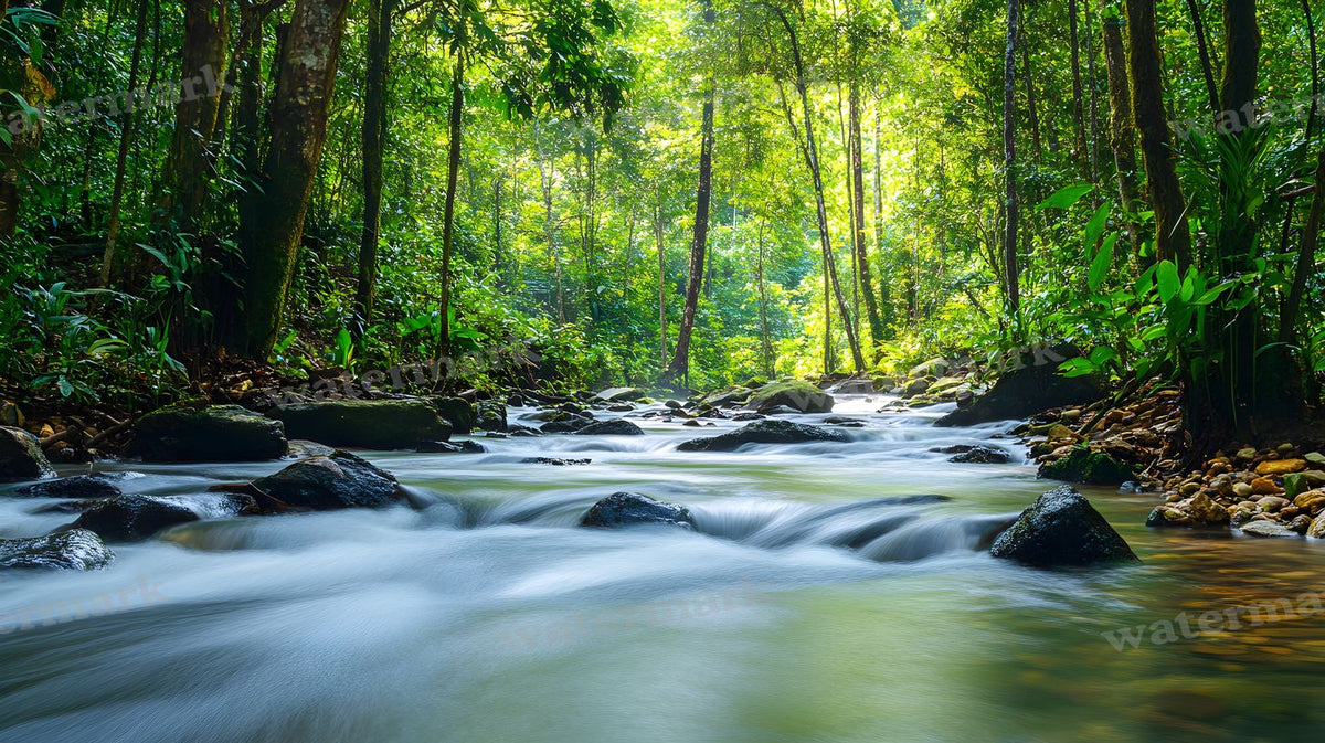 Tropical Forest Backdrop Images
