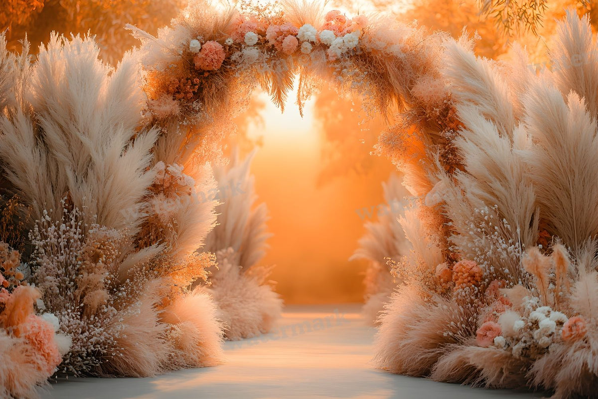 Boho Sunset Arch Backdrop Images