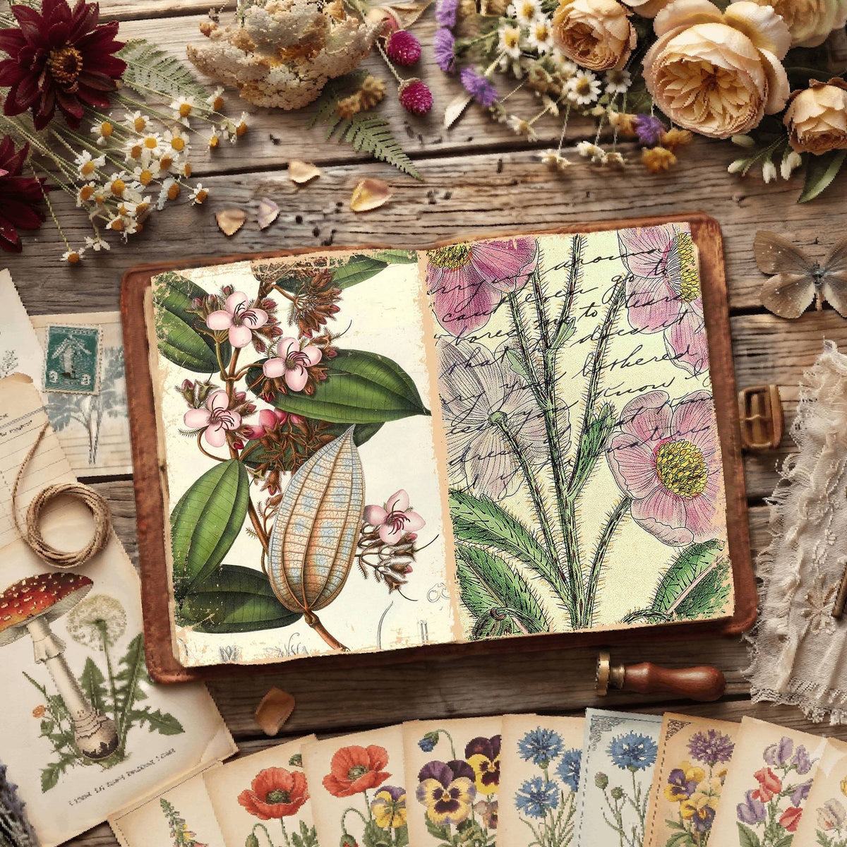 Botanical Illustrations Digital Papers