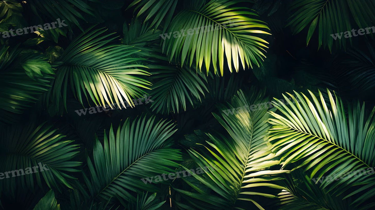 Tropical Forest Backdrop Images