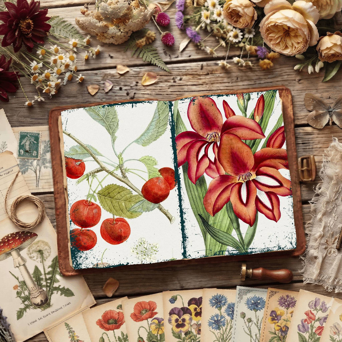 Botanical Illustrations Digital Papers