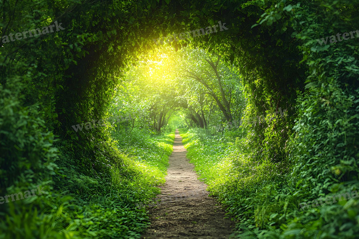 Enchanted Forest Backdrop Images