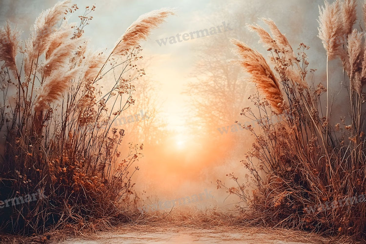 Boho Sunset Arch Backdrop Images
