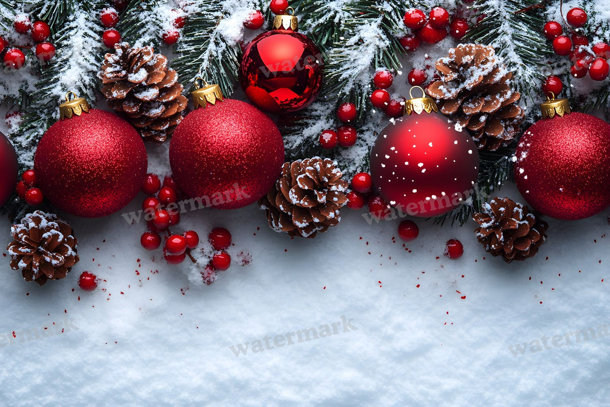 Christmas Outdoor Scene Backdrop Images