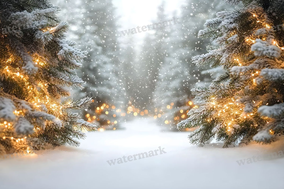 Snowy Forest Backdrop Images