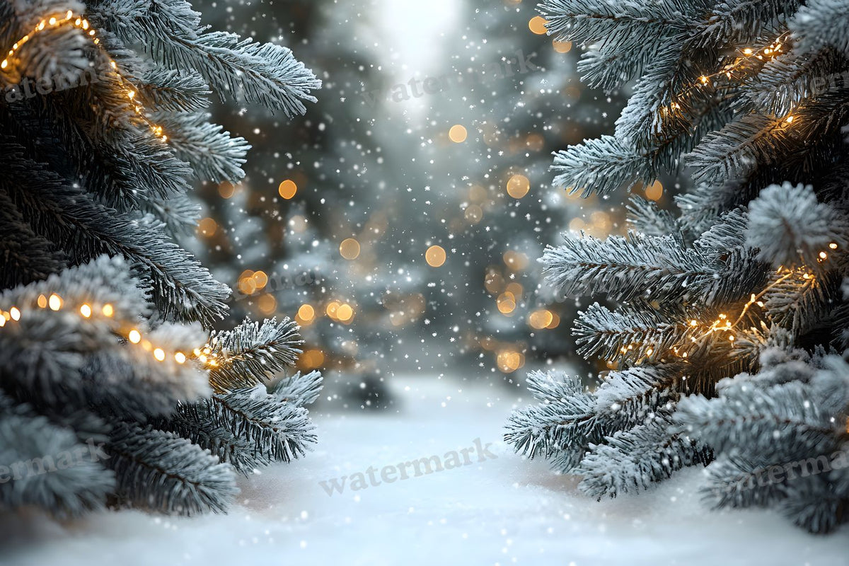 Snowy Forest Backdrop Images