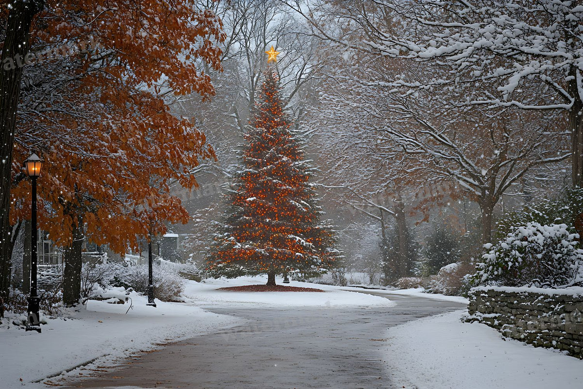 Classic Christmas Backdrop Images
