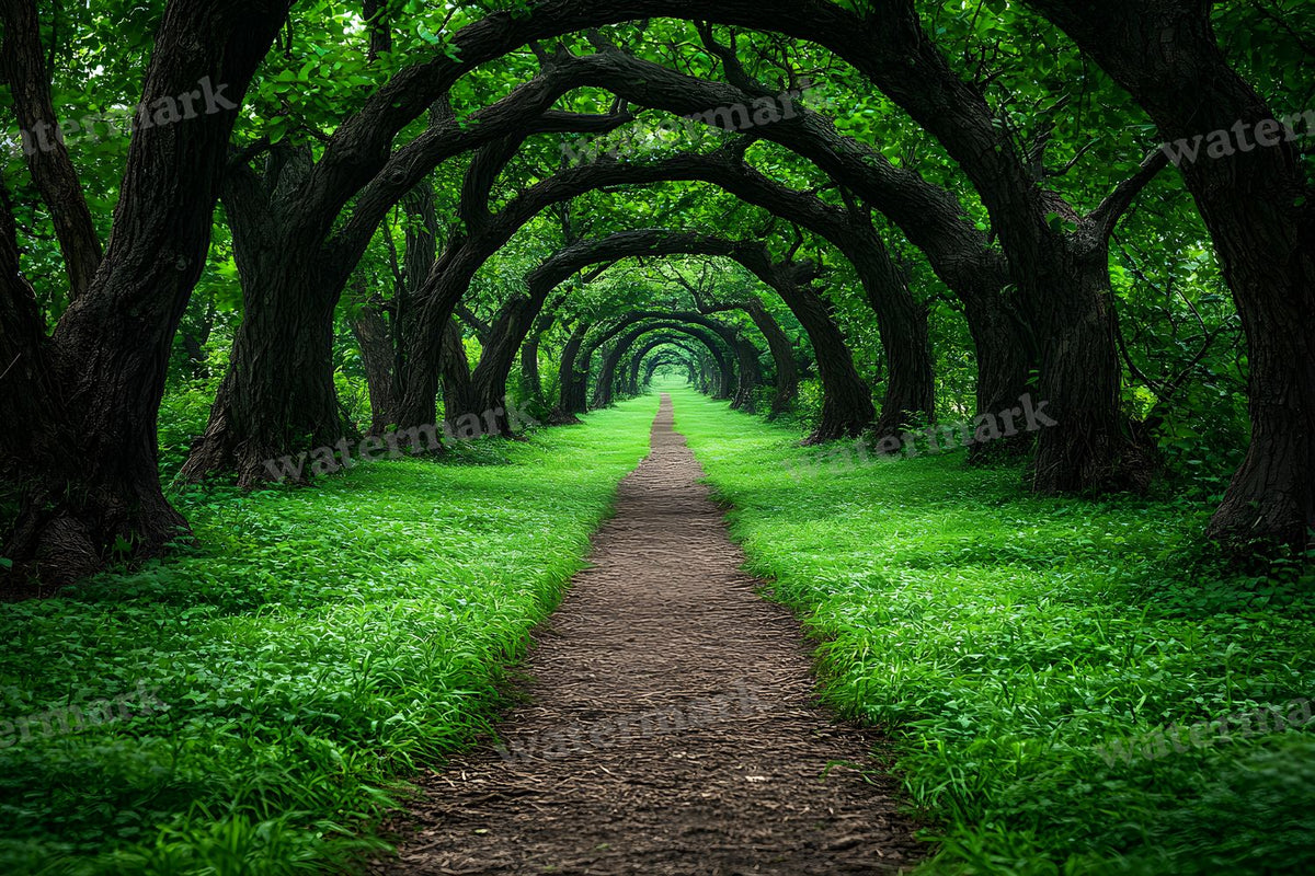 Enchanted Forest Backdrop Images