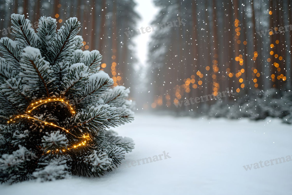 Snowy Forest Backdrop Images
