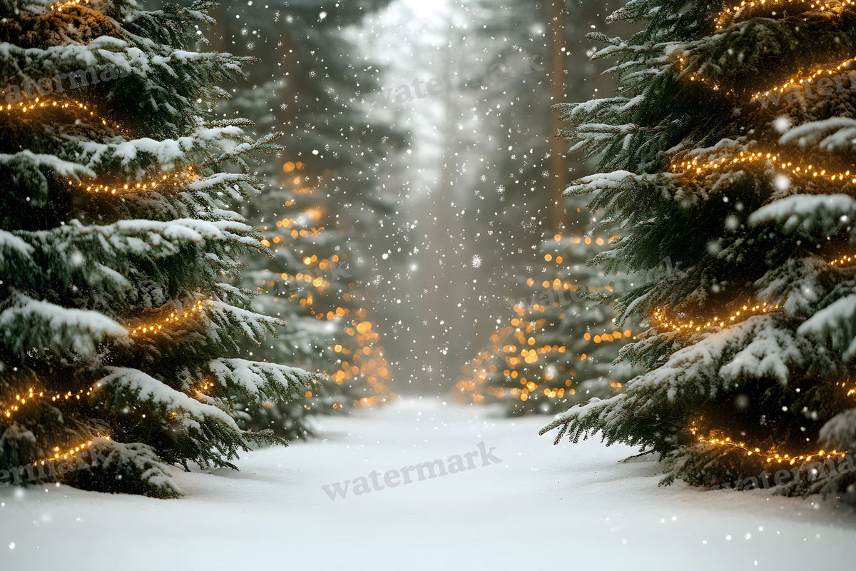 Snowy Forest Backdrop Images