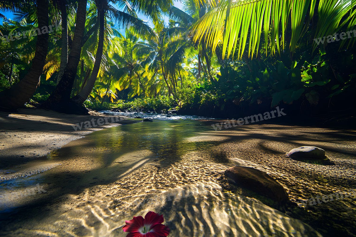 Botanical Garden Backdrop Images