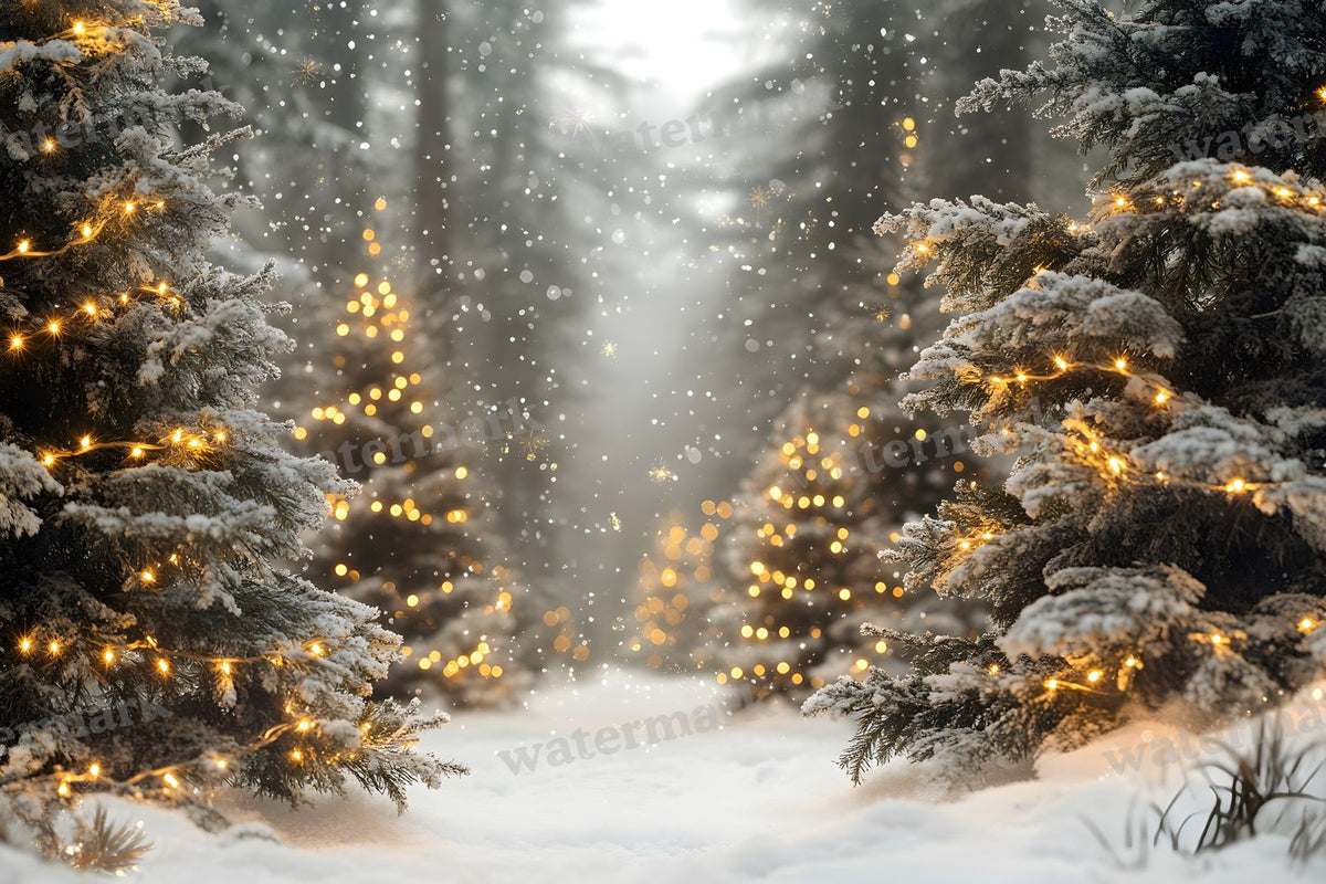 Snowy Forest Backdrop Images