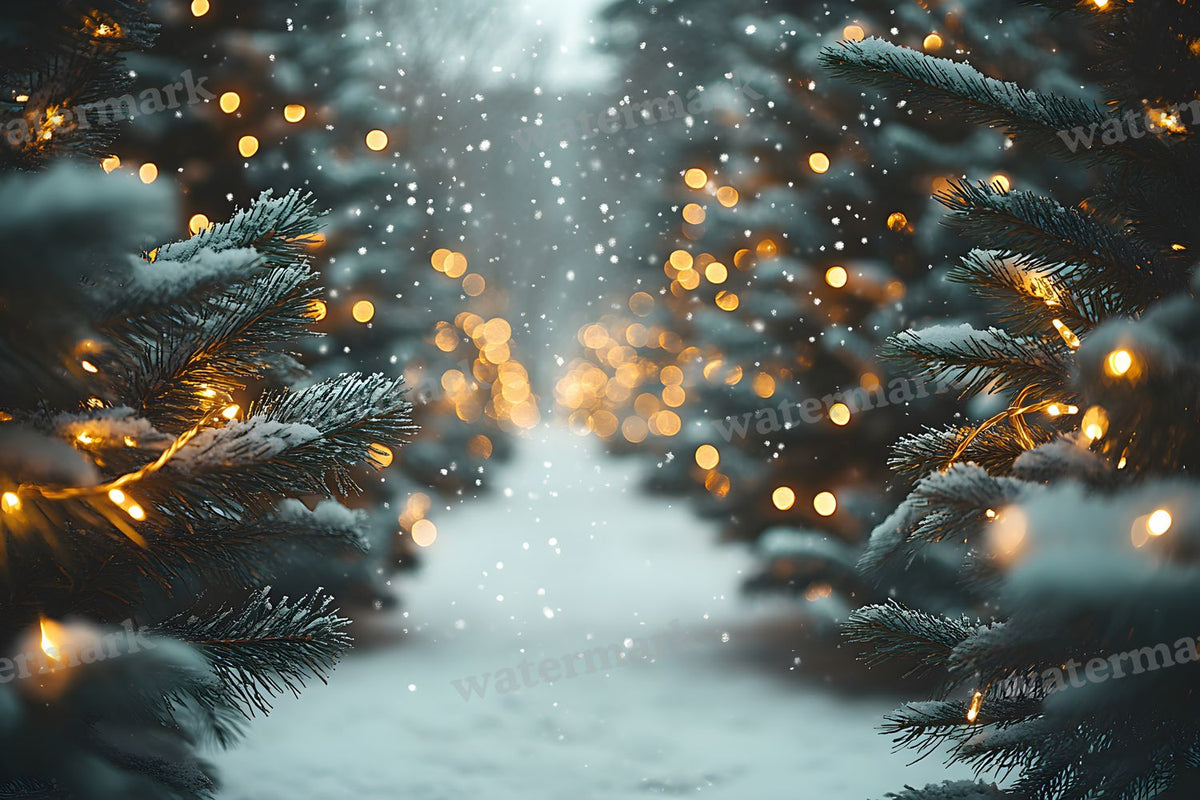 Snowy Forest Backdrop Images