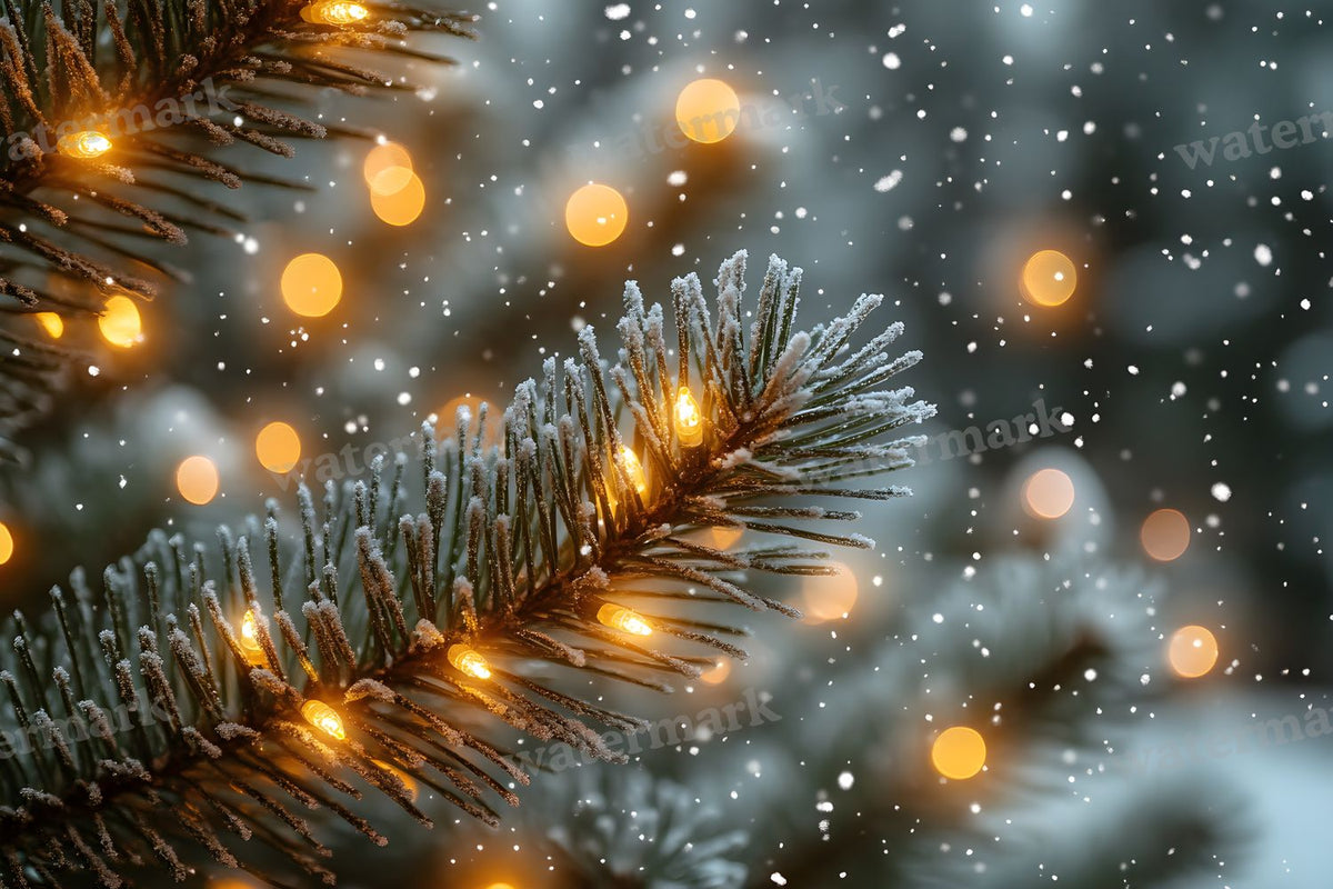 Snowy Forest Backdrop Images