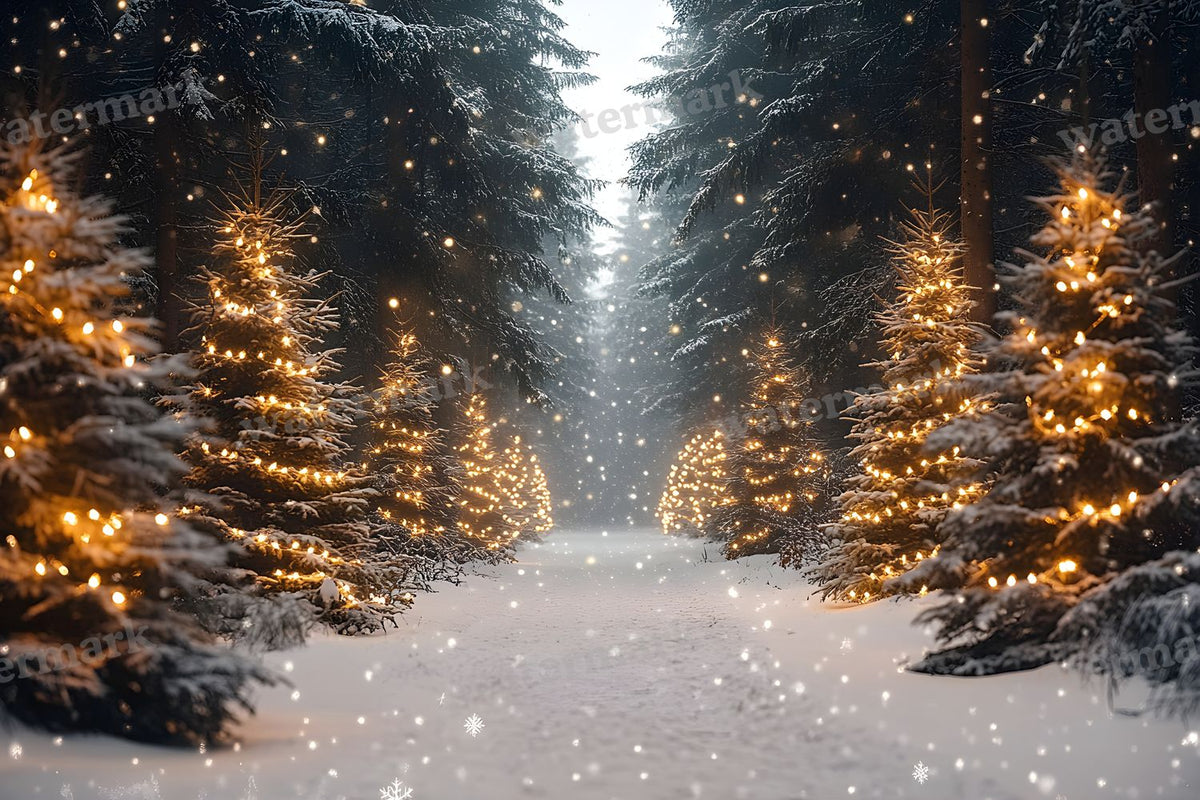 Snowy Forest Backdrop Images