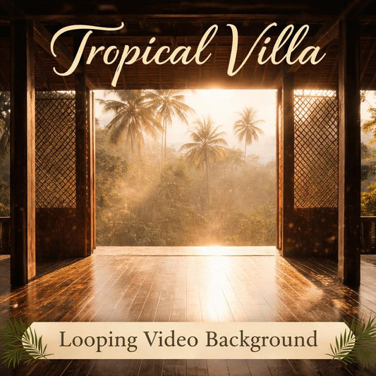 Tropical background loop video | Rainforest sunrise animated background, ocean beach, tropical video | Relax, livestream, YouTube