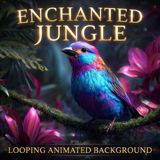 Tropical Rainbow Bird Loop Animation | Ocean beach background, fantasy magic, rainbow video | Animated backdrop for streams