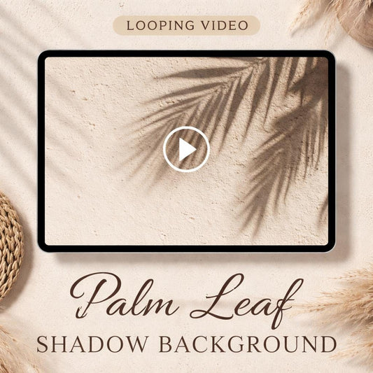 Palm shadow background loop | Neutral wall texture video, animated backdrop | Seamless looped video background for reels and scre