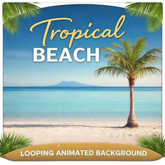 Tropical Beach Palm Loop Video | Ocean background, tropical video, palm background | Animated background for reels, streams, slid