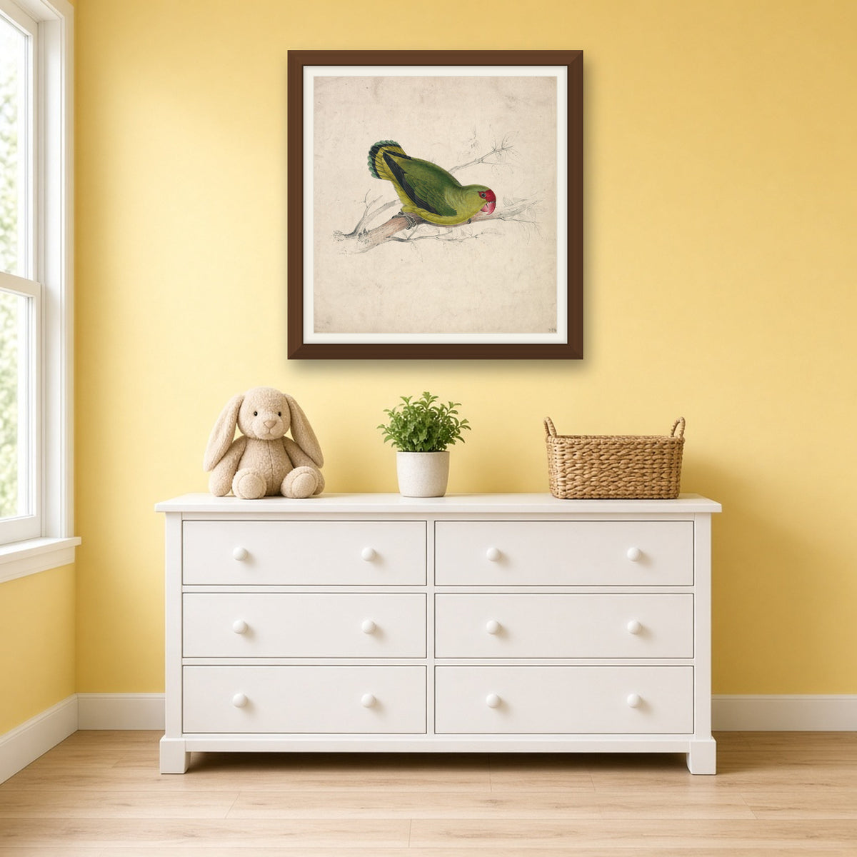 Abyssinian Parakeet, Plate 39 from Illustrations of the Family of Psittacidae by Edward Lear — room mockup