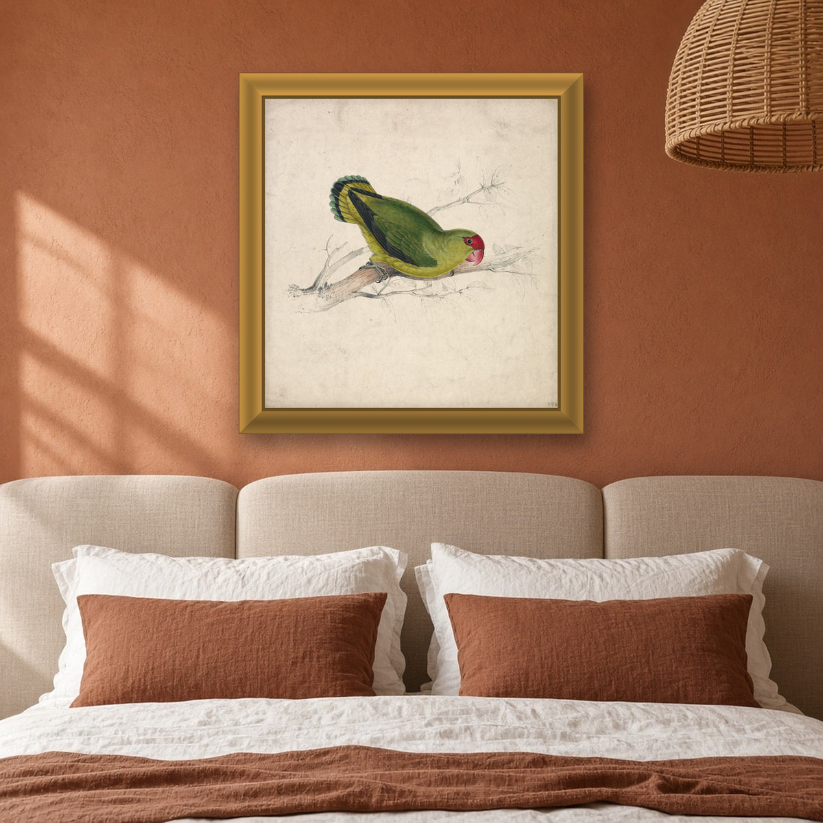 Abyssinian Parakeet, Plate 39 from Illustrations of the Family of Psittacidae by Edward Lear — framed art preview